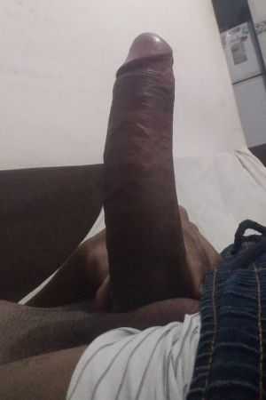 Novinho safado